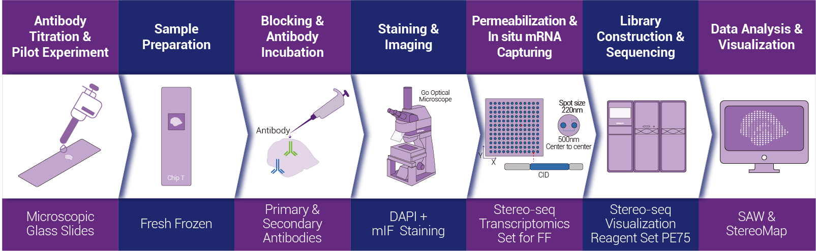 Tissue to Data End-to-end STOmics Solution